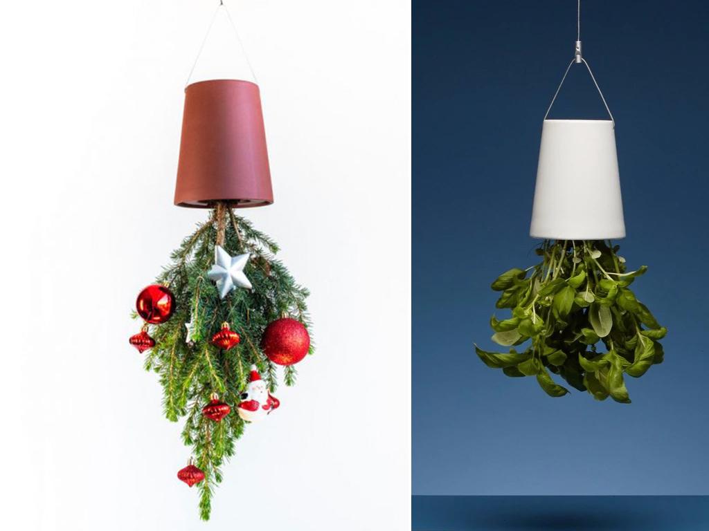 boskke sky planter