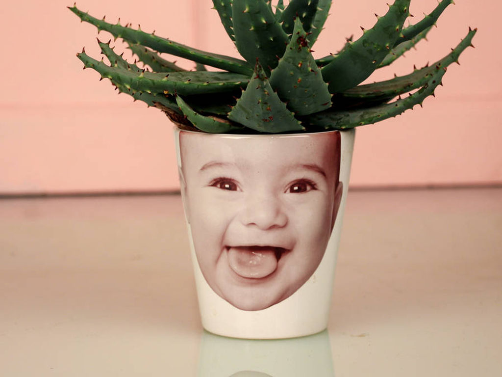 photo plant pot