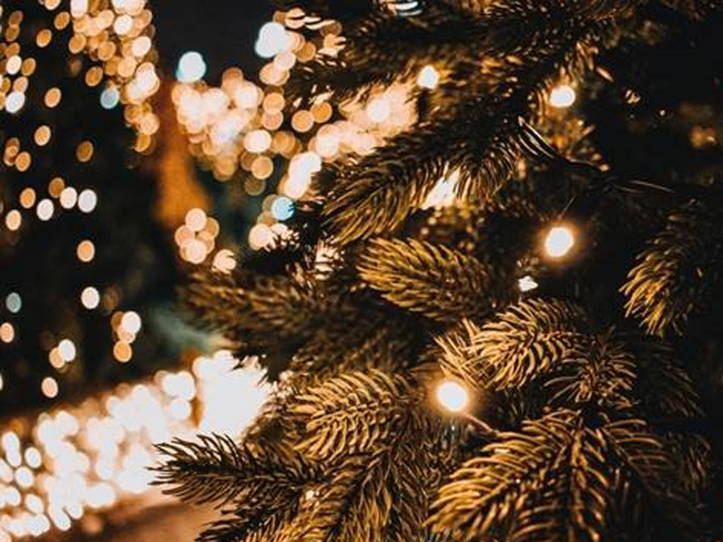 How to style a Christmas tree according to interior experts