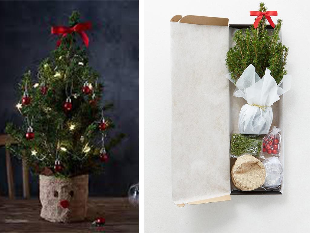 Marks Spencer Letterbox Tree