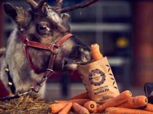 morrisons christmas carrot giveaway