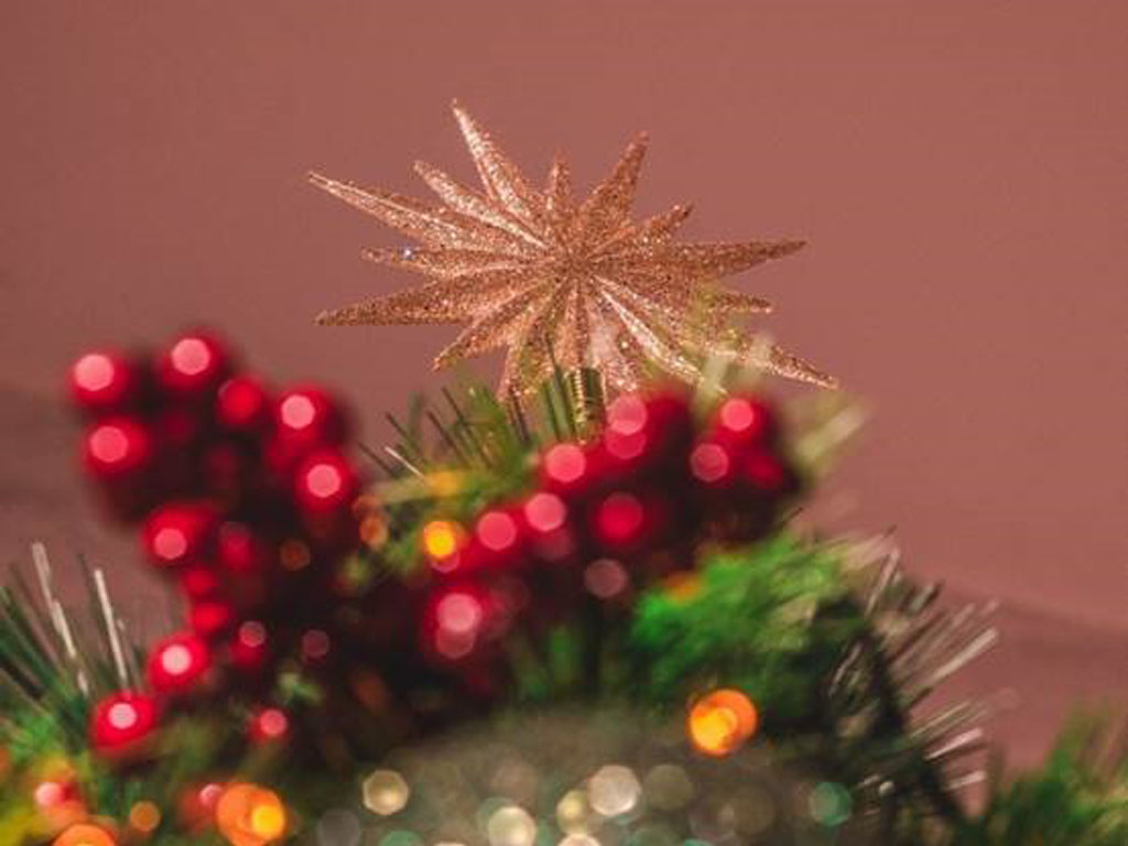 decorate a christmas tree professionally