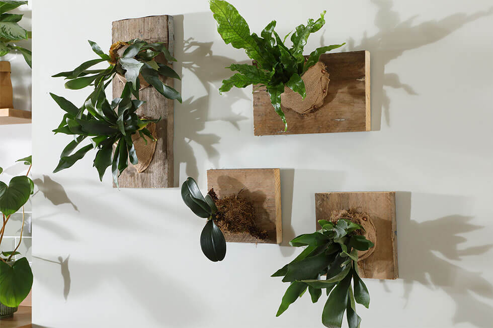 eco friendly decorating