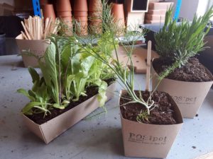 posipot plastic free planter