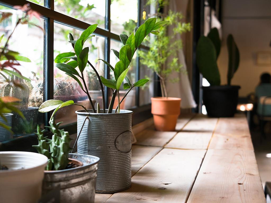 posipot plastic free planter