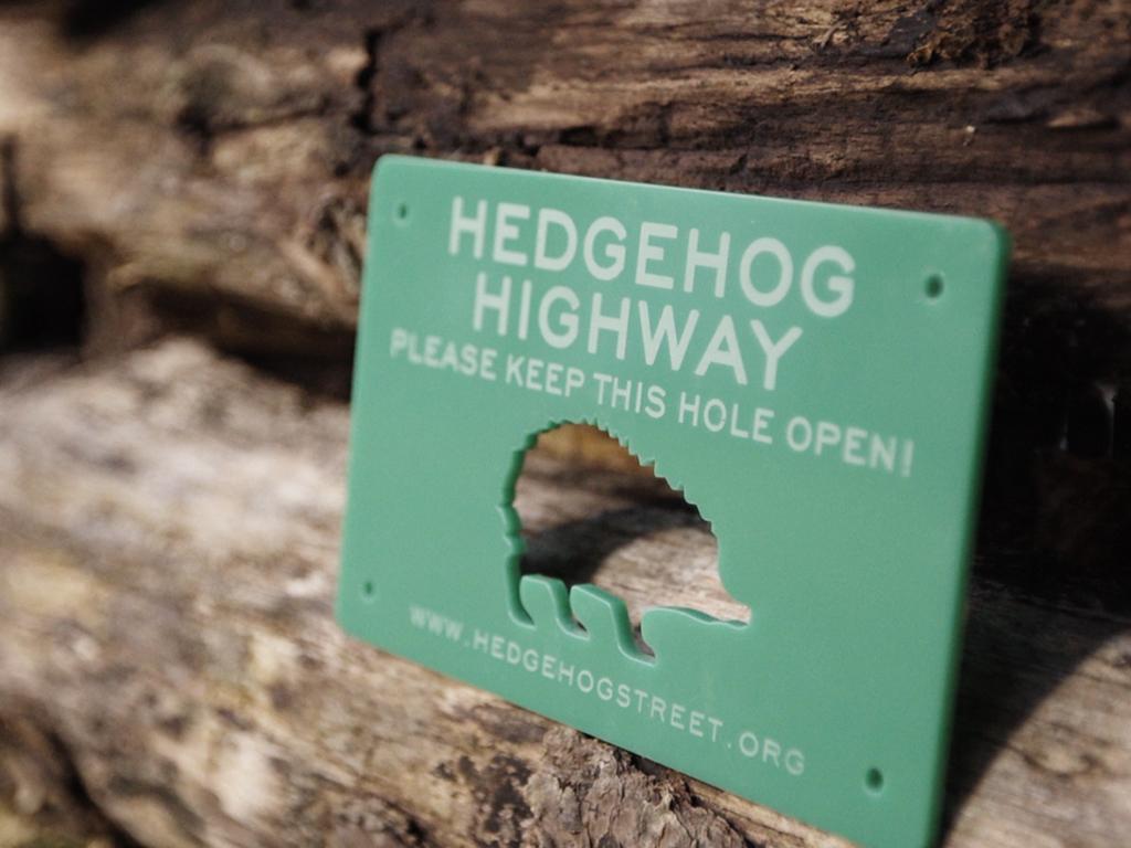 hedgehog highway