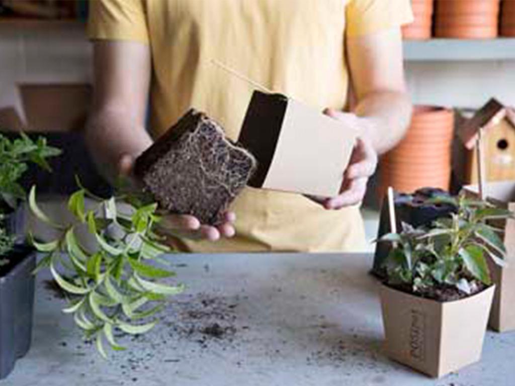 posipot plastic free planter