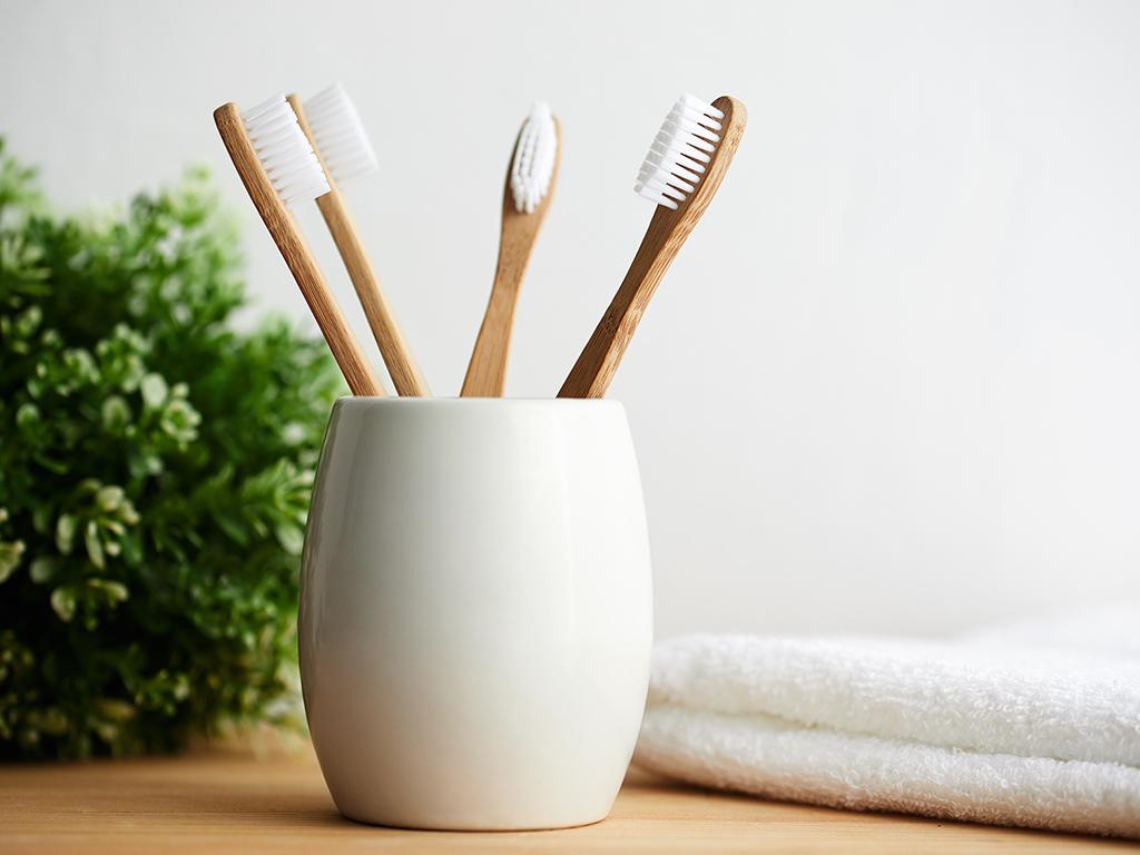 eco friendly alternatives