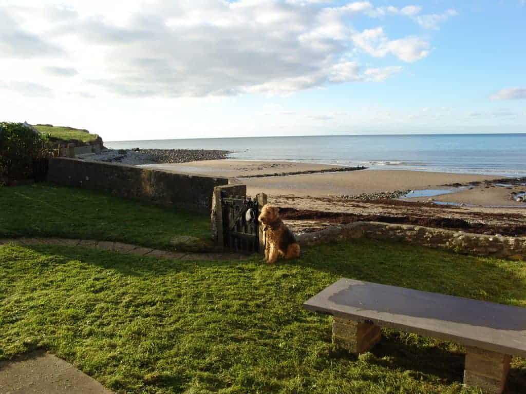 Y Goeden Eirin Hotel best eco friendly hotels