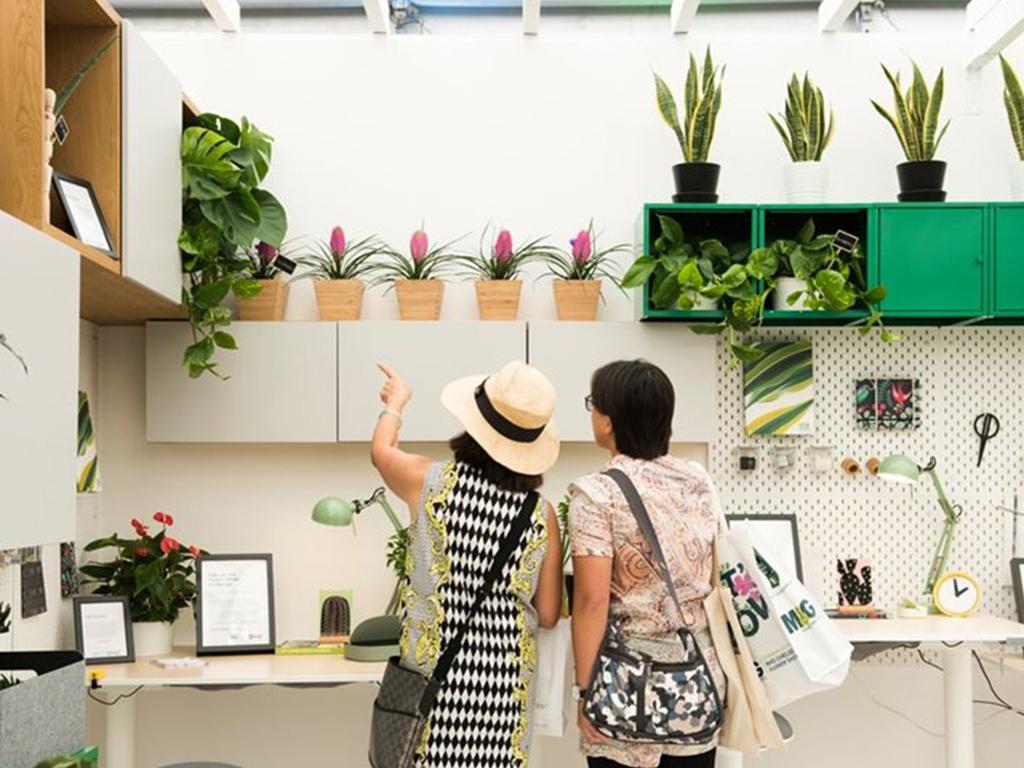 chelsea flower show 2020