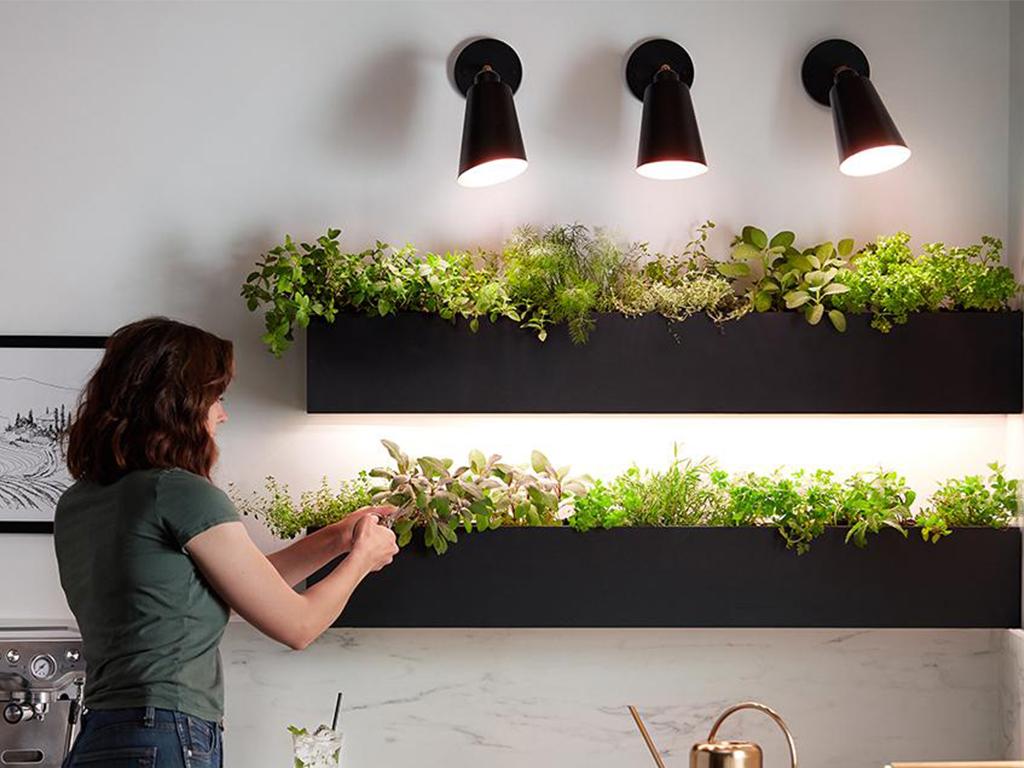 grow light