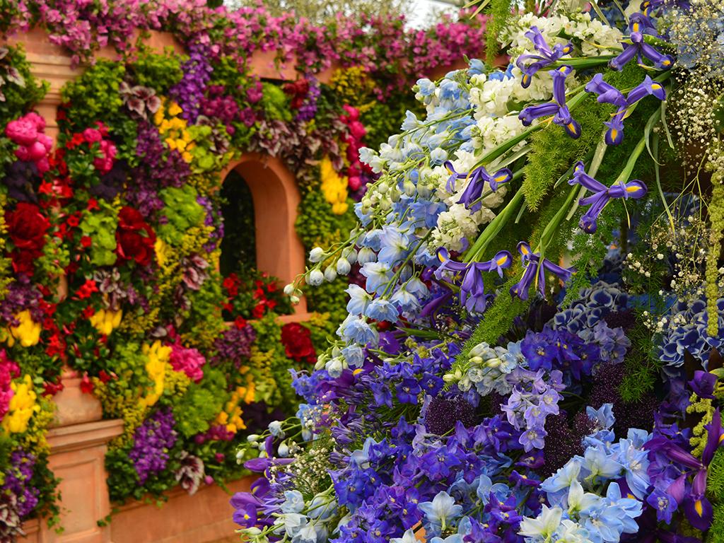chelsea flower show 2020