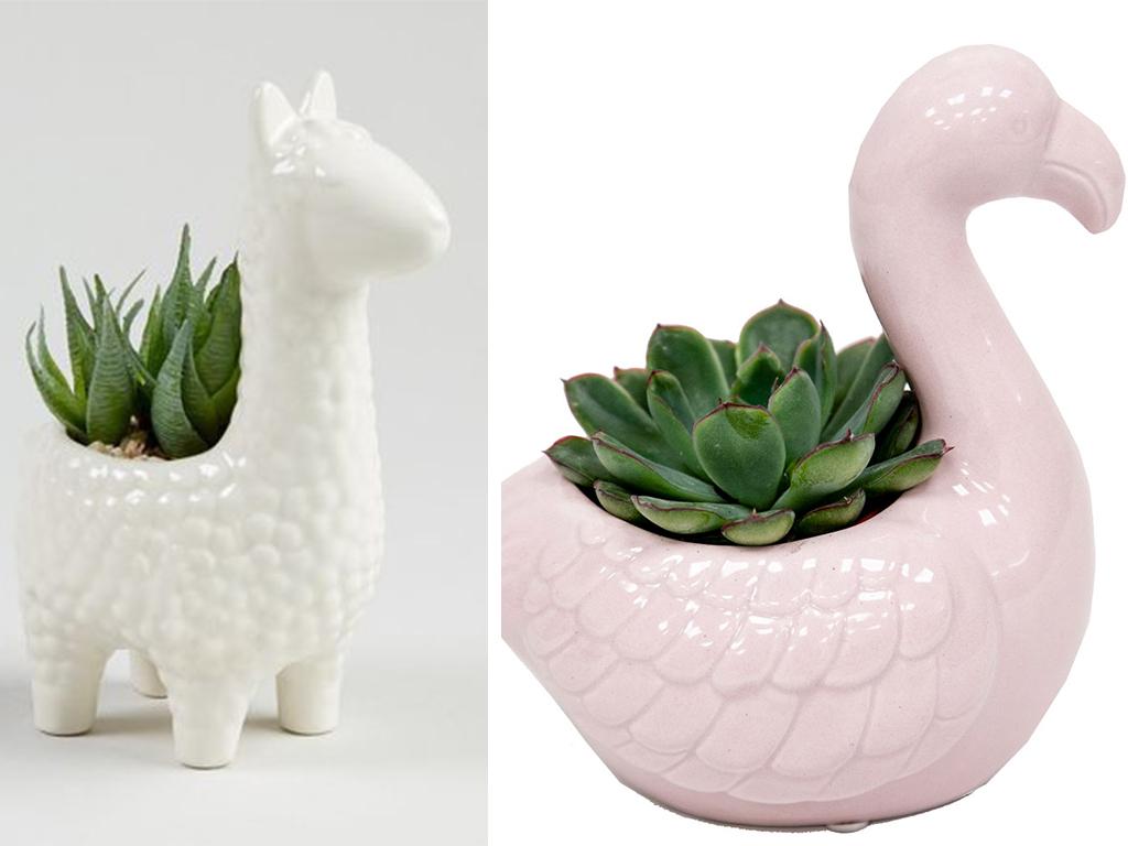 The New Lidl Flamingo Llama Planters Are An Indoor Garden 