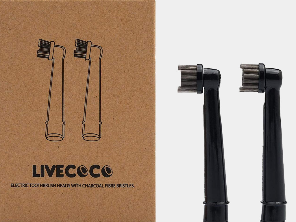 eco friendly toothbrushes