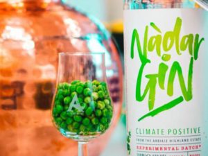nàdar pea gin