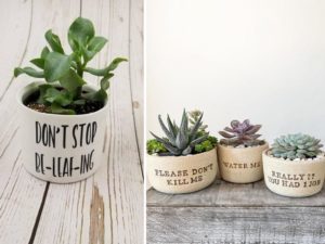 succulent planter ideas