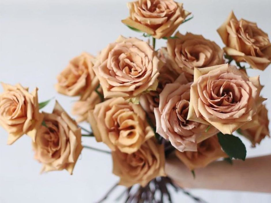 Toffee Roses Are The Flora Trend Everyone Needs To Know About