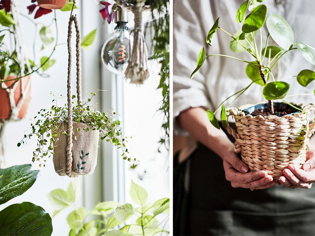 ikea botanisk 2020 collection