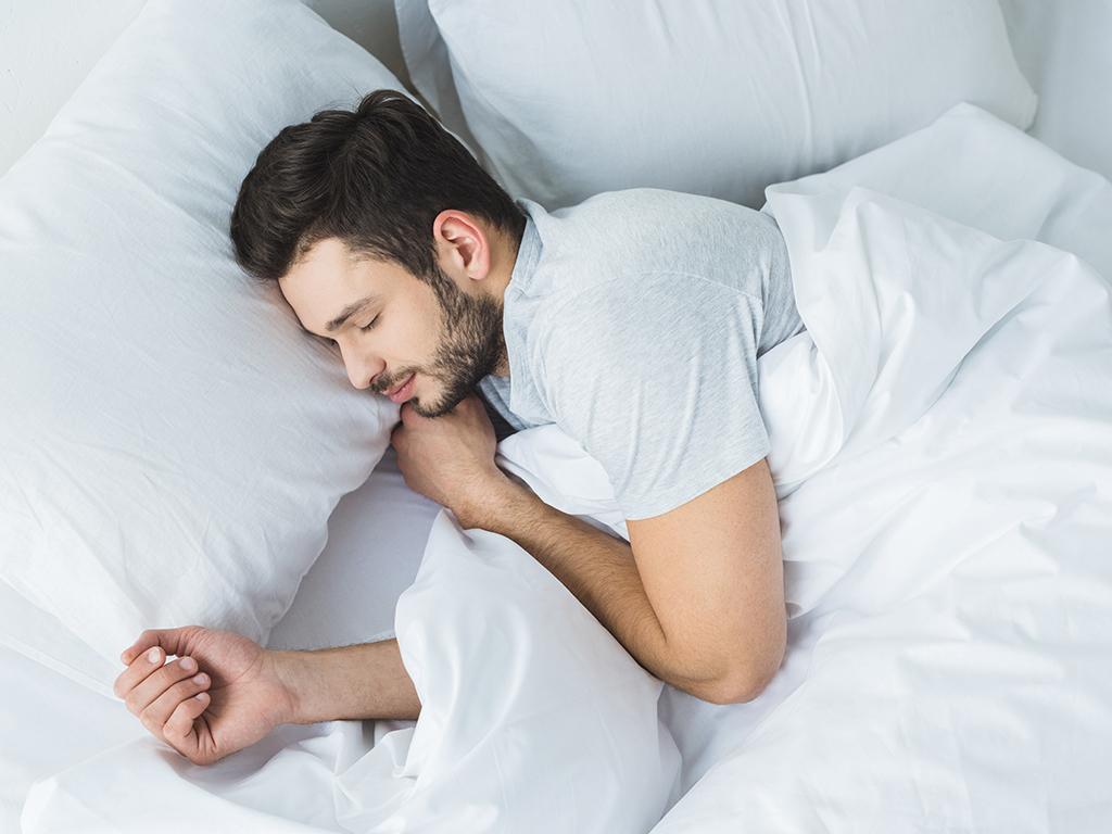 hillarys sleep professional