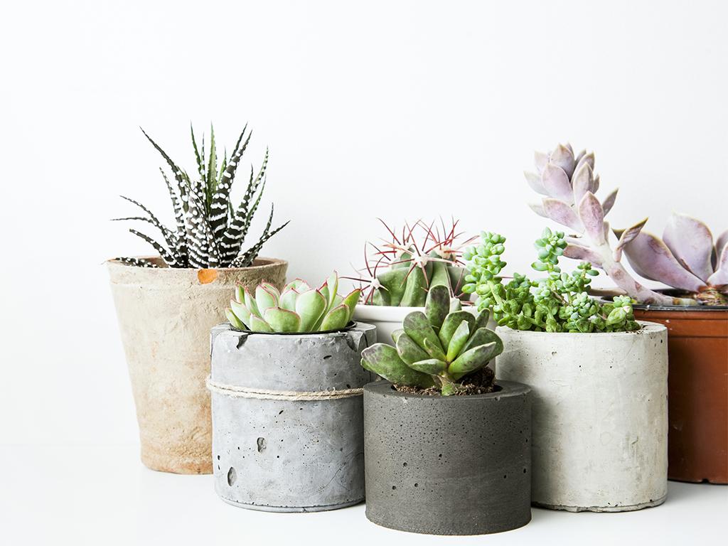 home subscription box