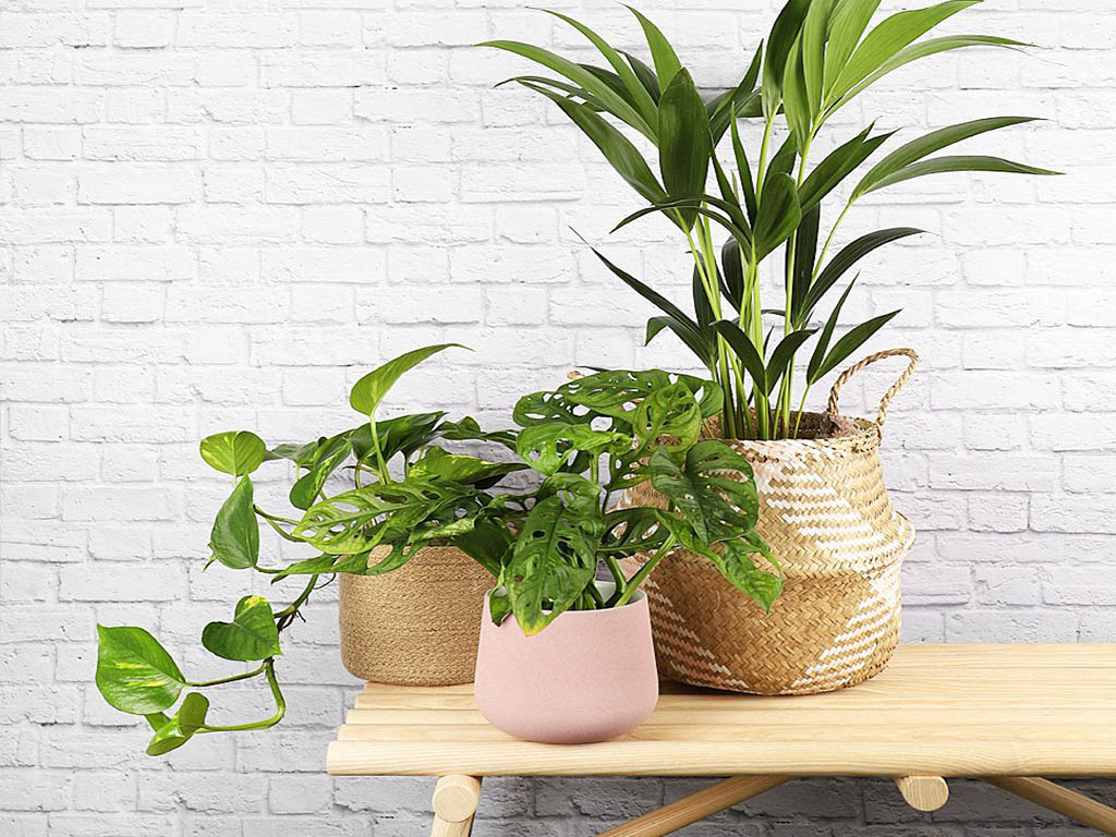 home subscription box