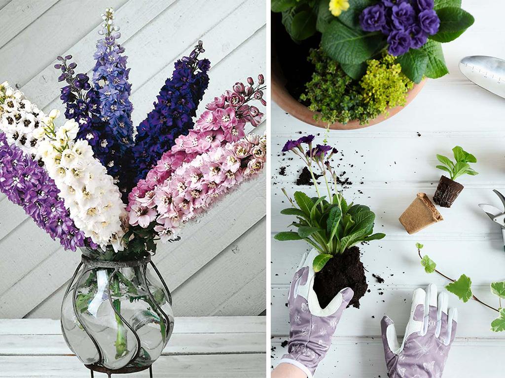 plant delivery services