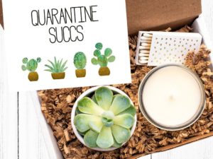 quarantine succs kit