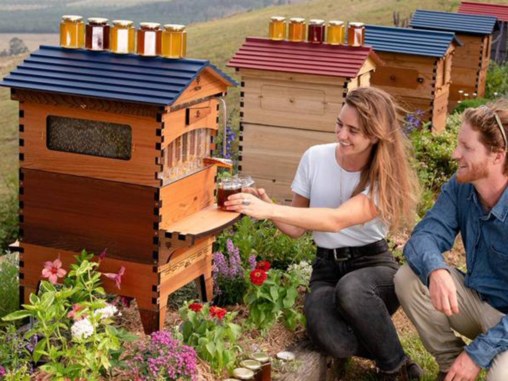 flow hive