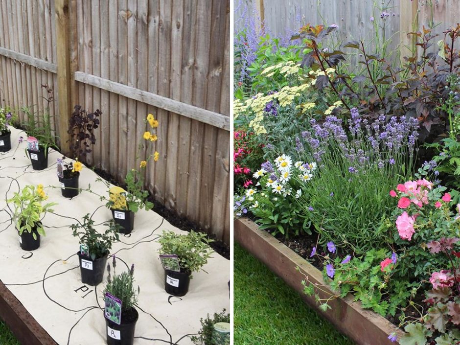 The Homebase Garden Eco Border Is a Spring Garden MustHave
