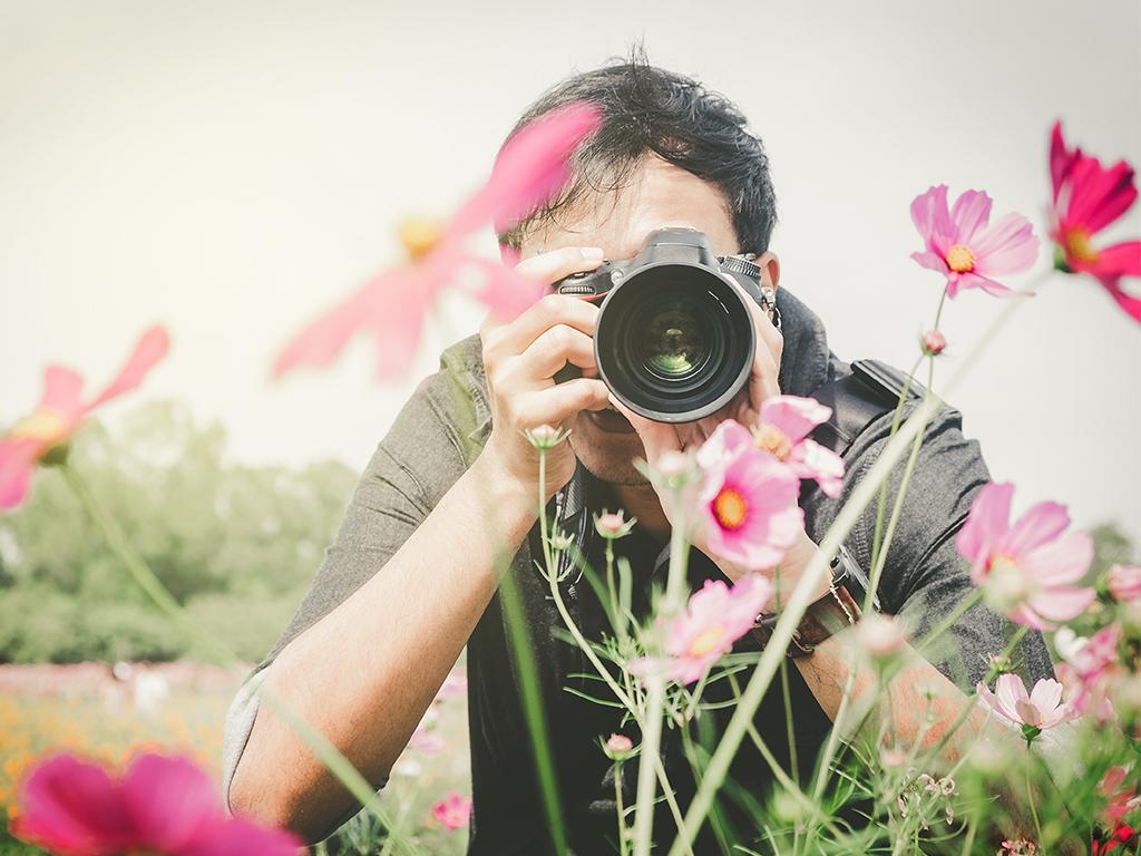 nikon free photography courses