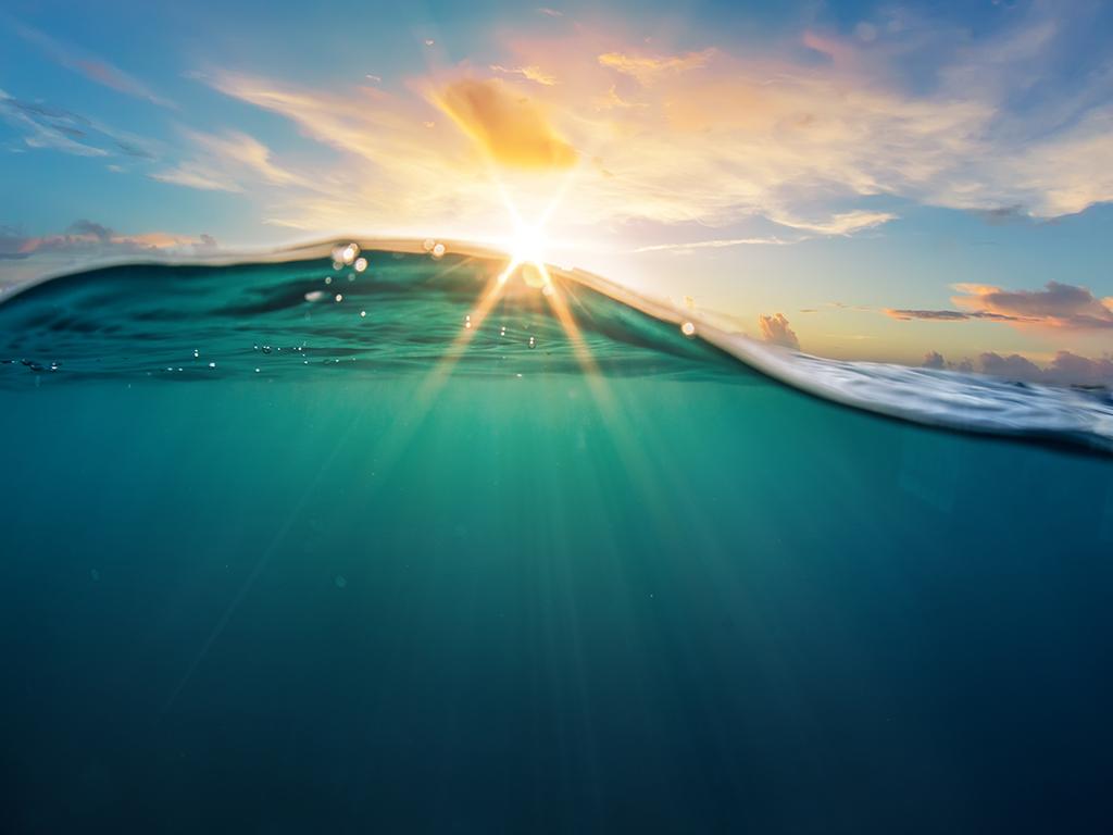 lockdown ocean noise reduction