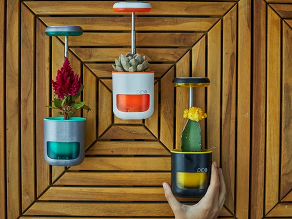 pico plant pot