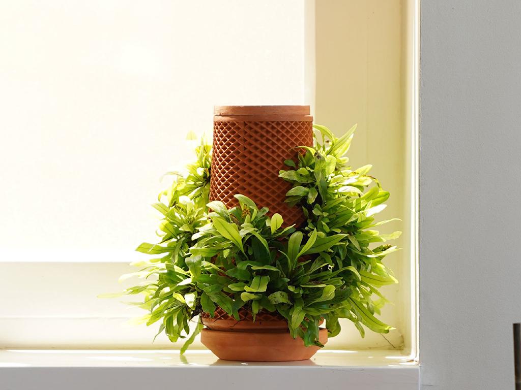 terraplanter indoor garden