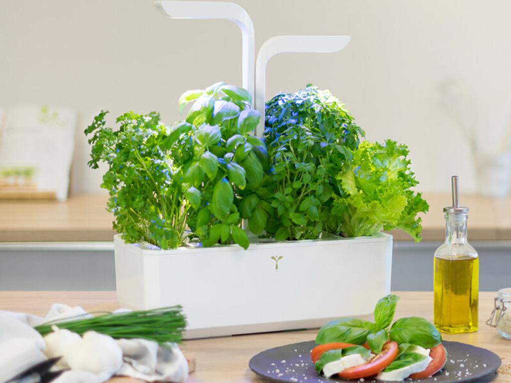 veritable smart garden