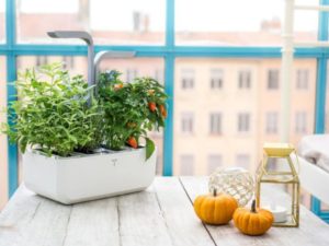 veritable smart garden