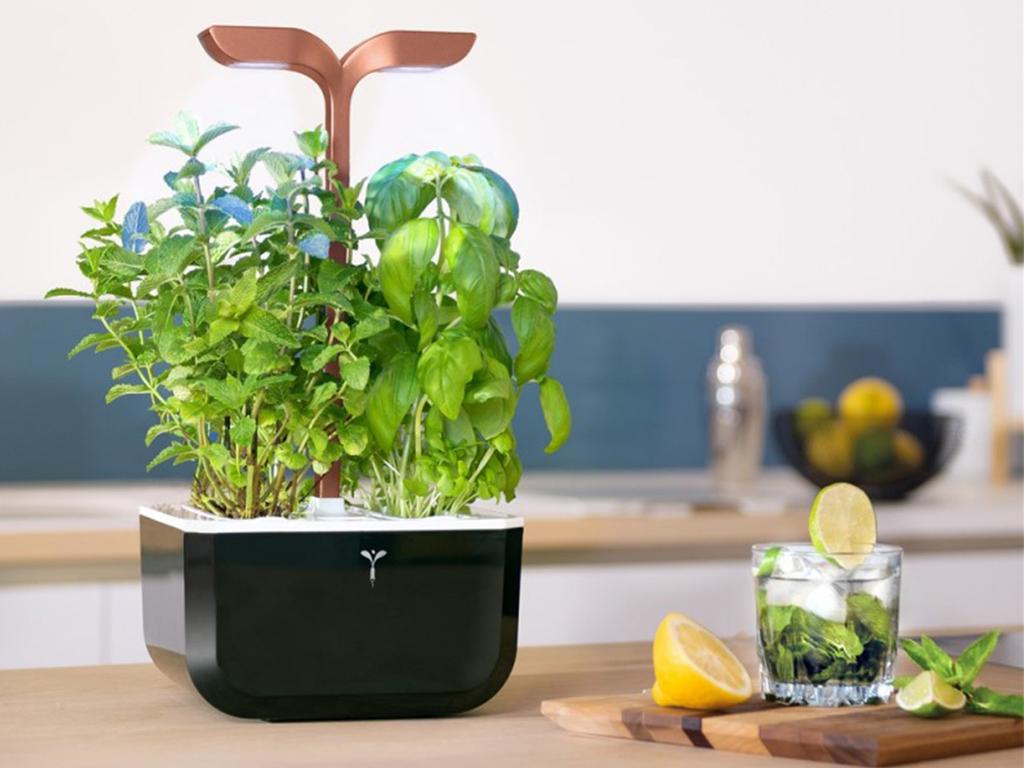 veritable smart garden