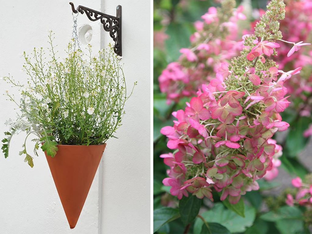plant delivery services