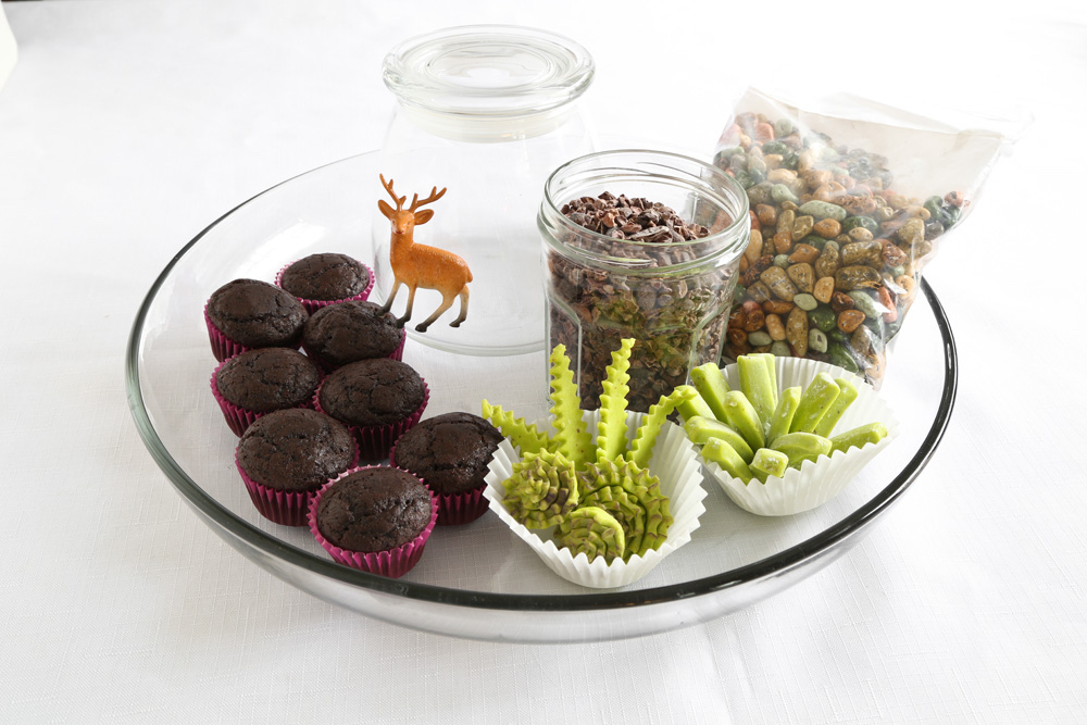 edible terrarium diy