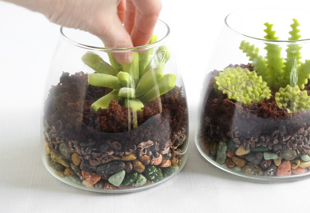 edible terrarium diy