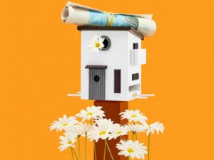 modern birdhouse