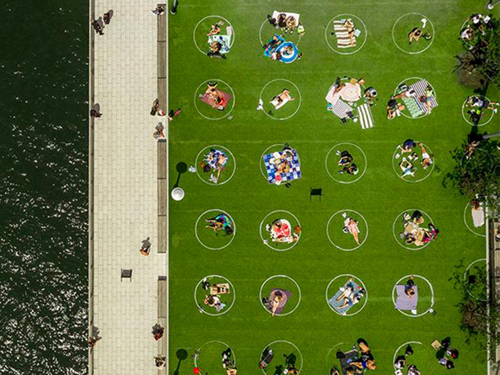 domino park painted circles