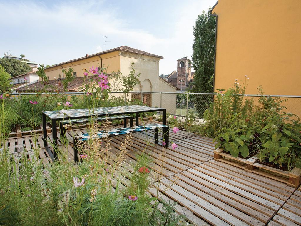 eco friendly roof garden