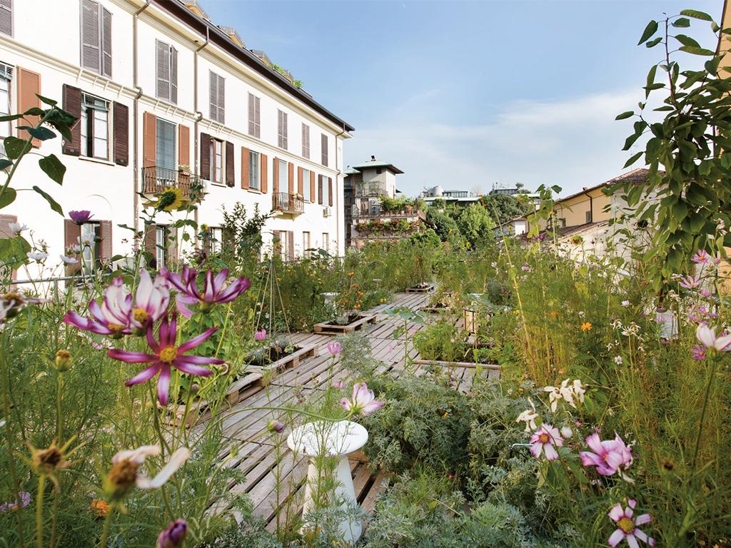 eco friendly roof garden