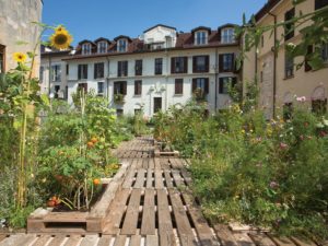 eco friendly roof garden