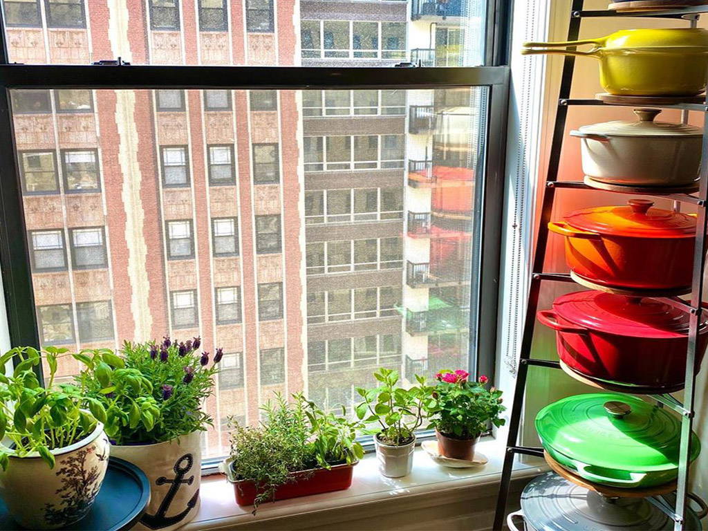 window garden ideas