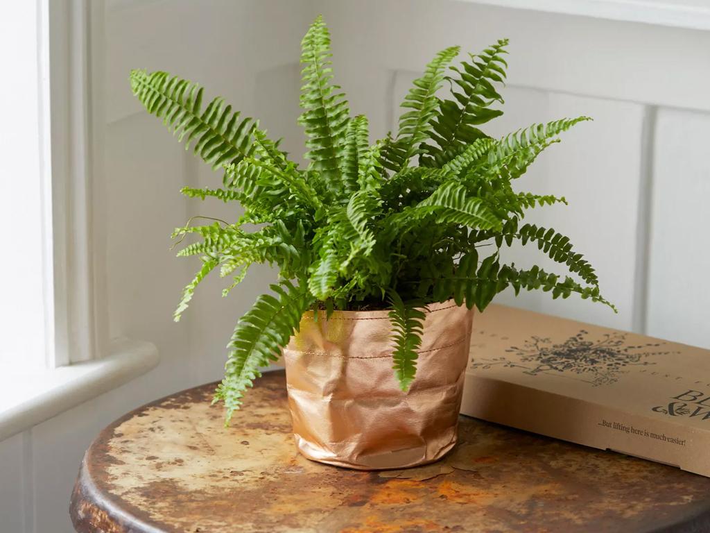 letterbox gifts