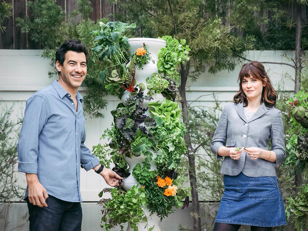 lettuce grow farmstand