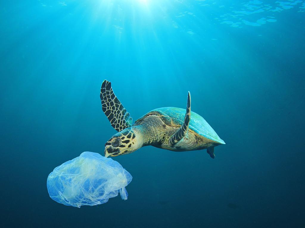 norway plastic recycling scheme