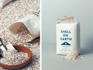 shell on earth