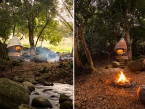 nomadic resorts seedpod